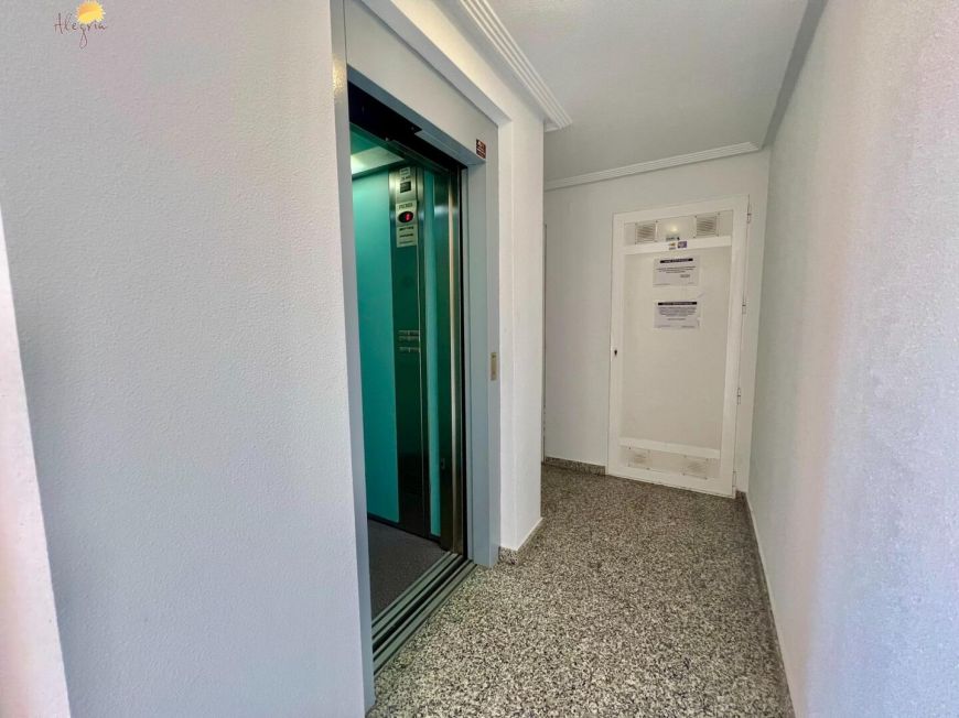 Španělsko Apartmány / byty Torrevieja