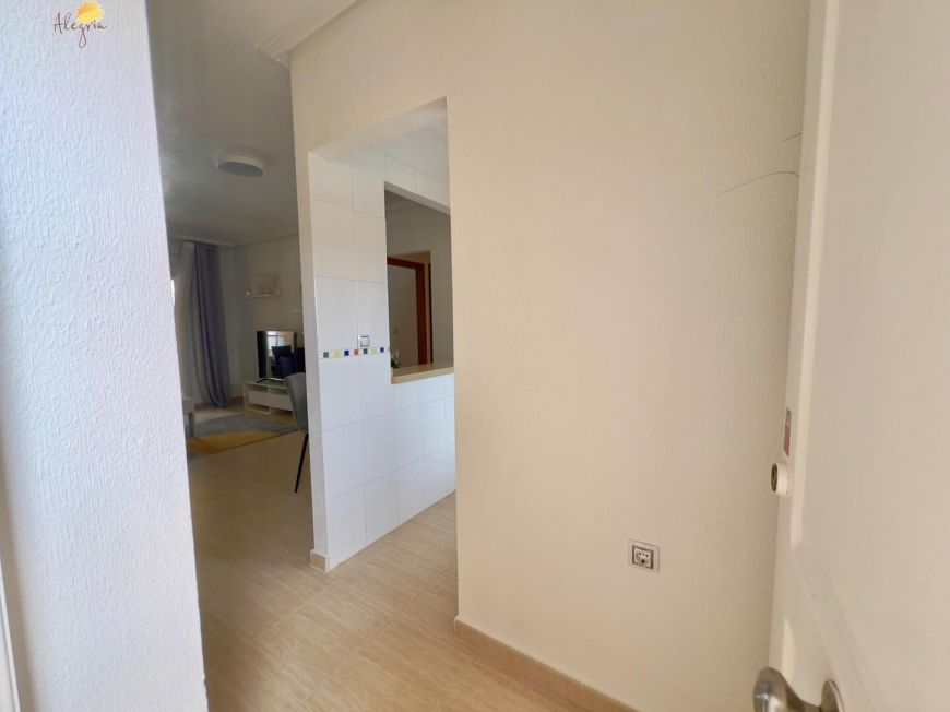 Španělsko Apartmány / byty Torrevieja