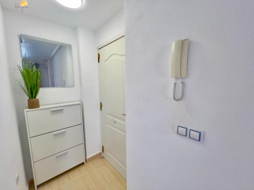 Španělsko Apartmány / byty Torrevieja