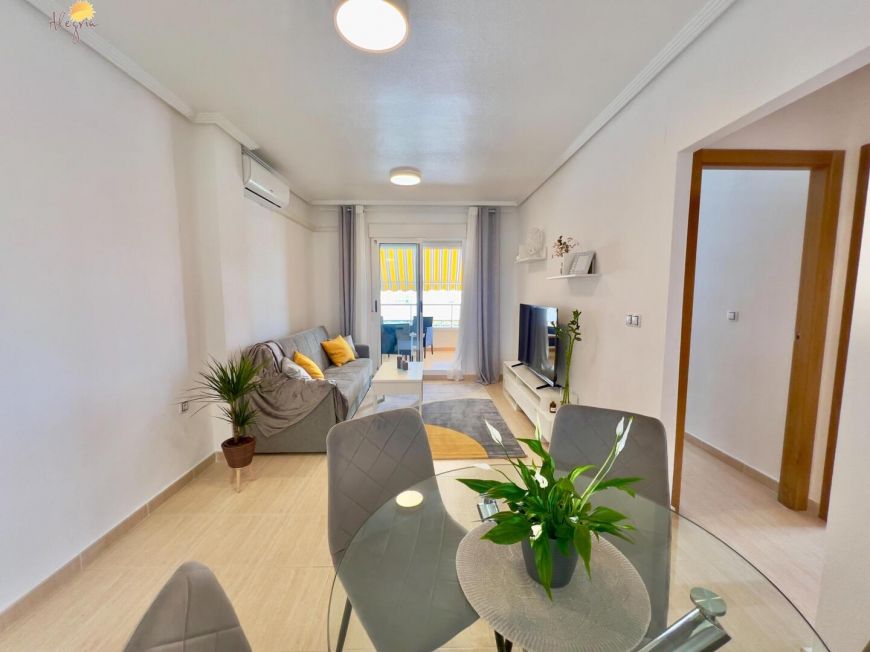Španělsko Apartmány / byty Torrevieja