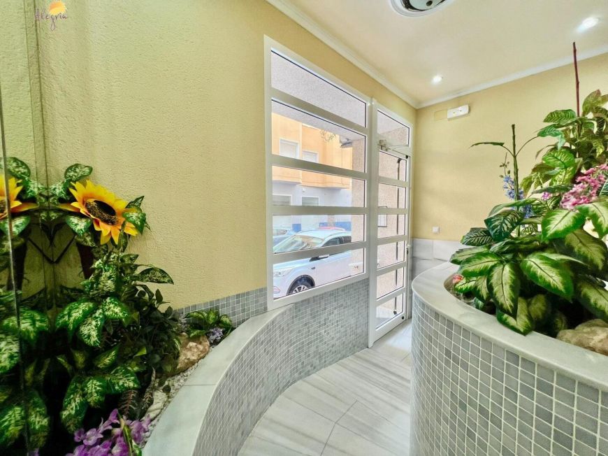 Španělsko Apartmány / byty Torrevieja