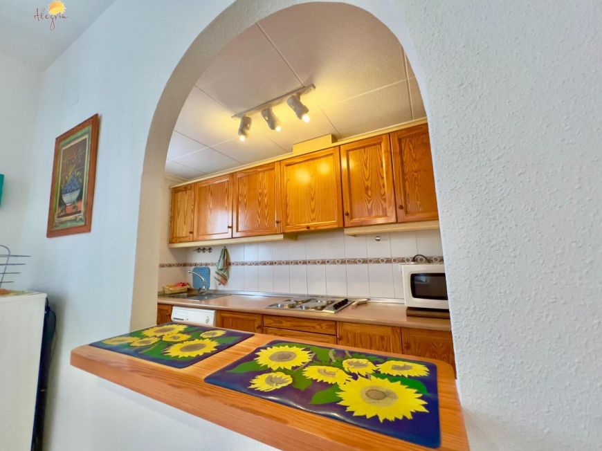 Španělsko Apartmány / byty Torrevieja