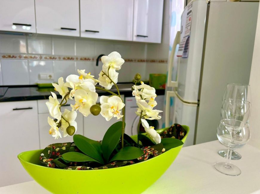 Španělsko Apartmány / byty Torrevieja