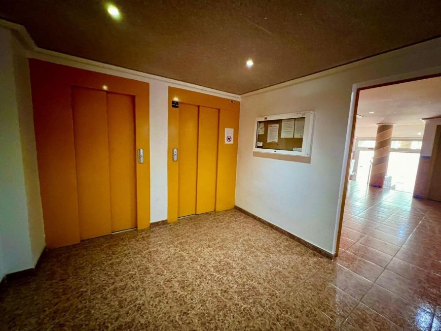 Španělsko Apartmány / byty Torrevieja