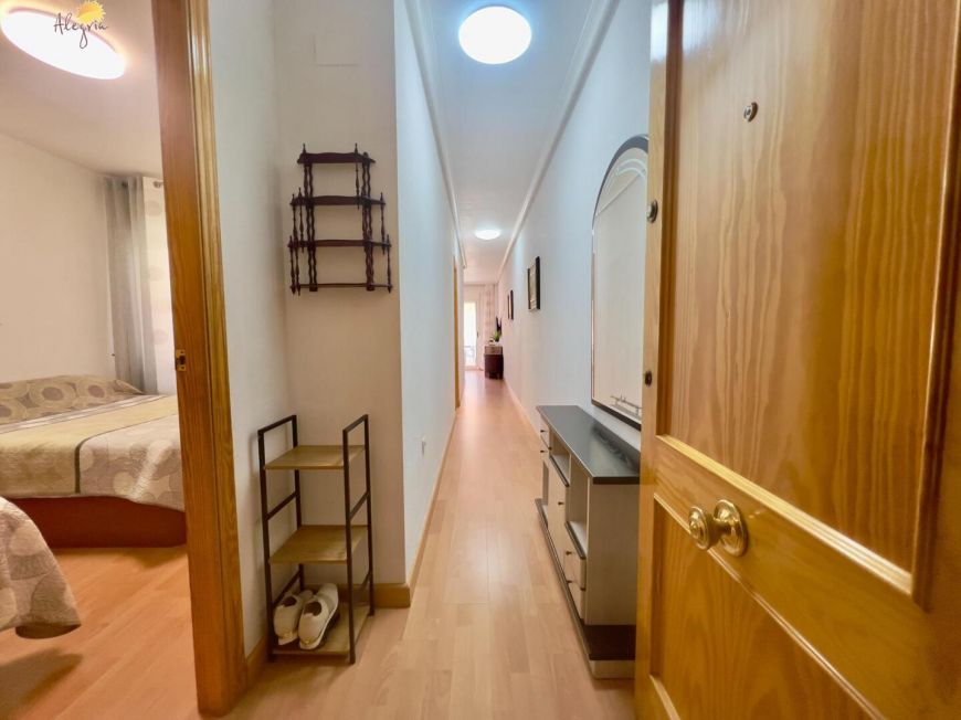 Španělsko Apartmány / byty Torrevieja