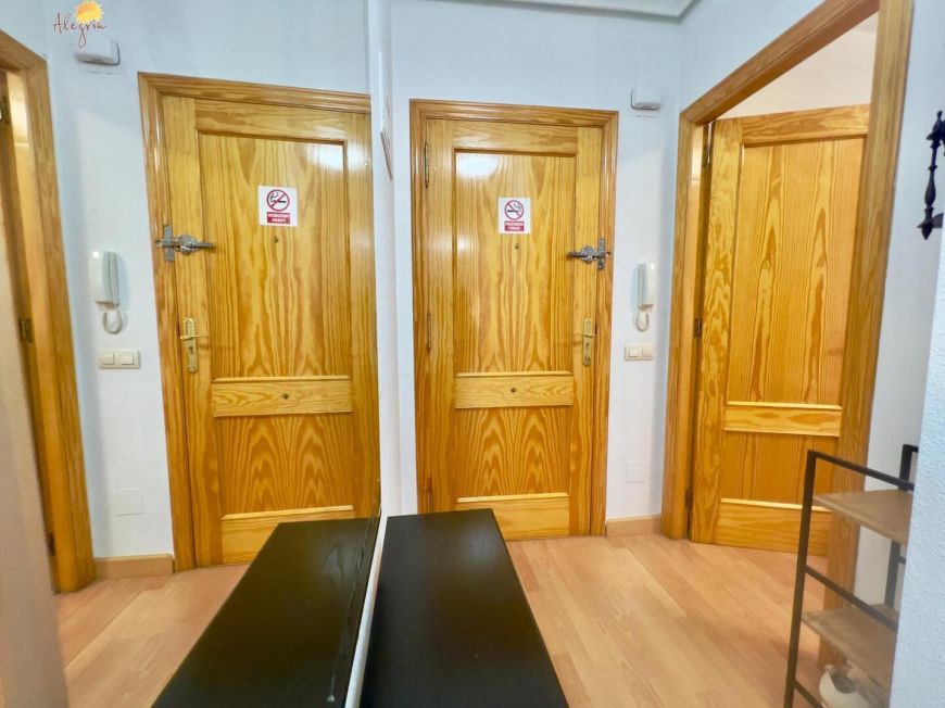 Španělsko Apartmány / byty Torrevieja