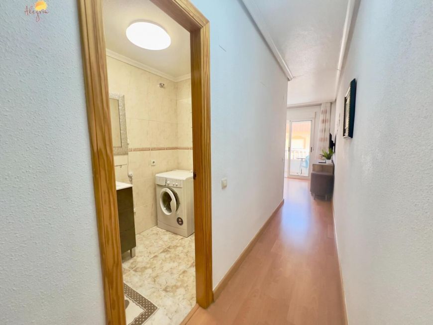 Španělsko Apartmány / byty Torrevieja