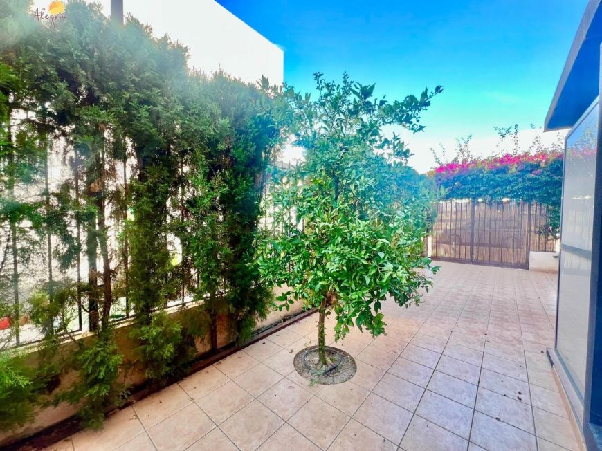 Испания houses torrevieja