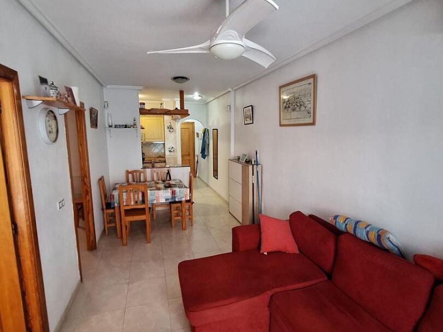 Испания apartments torrevieja