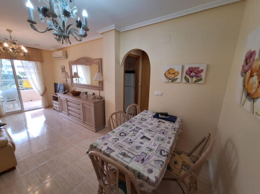 Španělsko Apartmány / byty Torrevieja