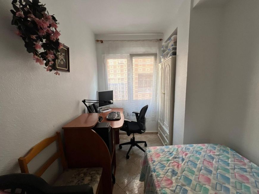 Španělsko Apartmány / byty Torrevieja