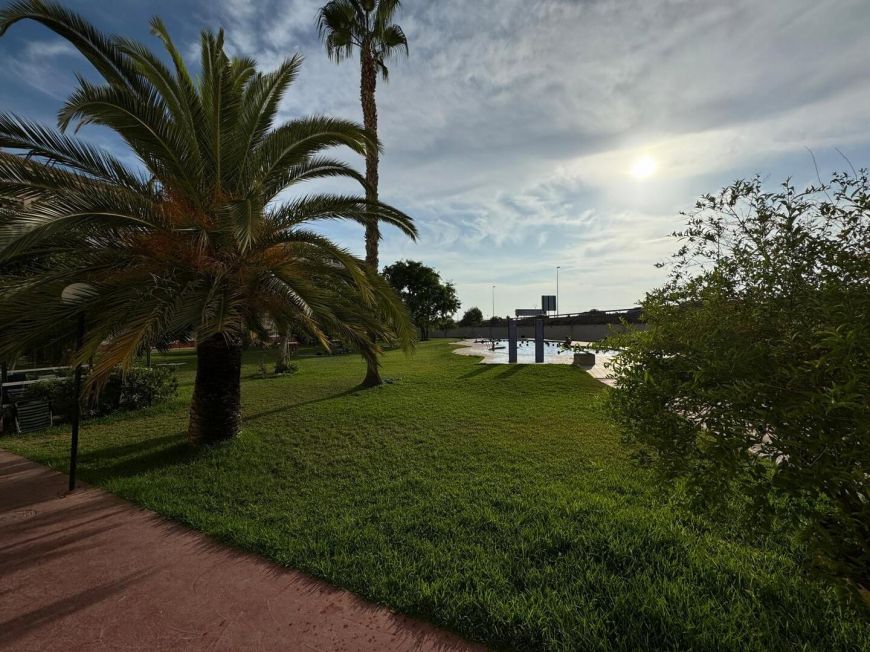 Испания apartments torrevieja 