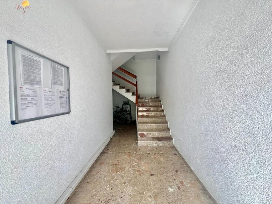 Španělsko Apartmány / byty Torrevieja