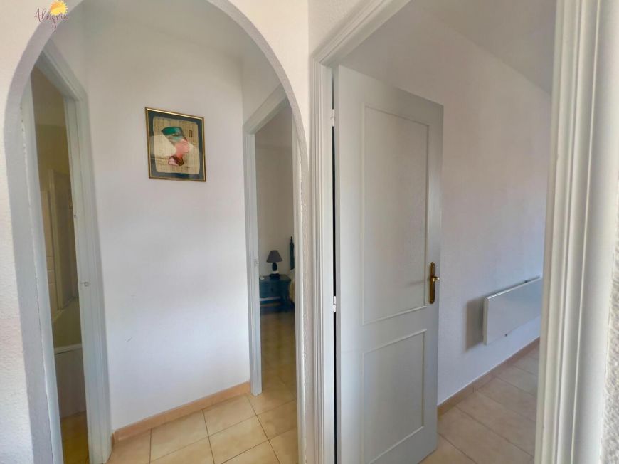 Španělsko Apartmány / byty Torrevieja