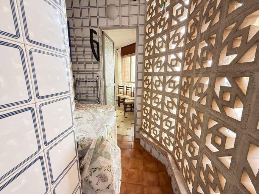 Španělsko Apartmány / byty Torrevieja