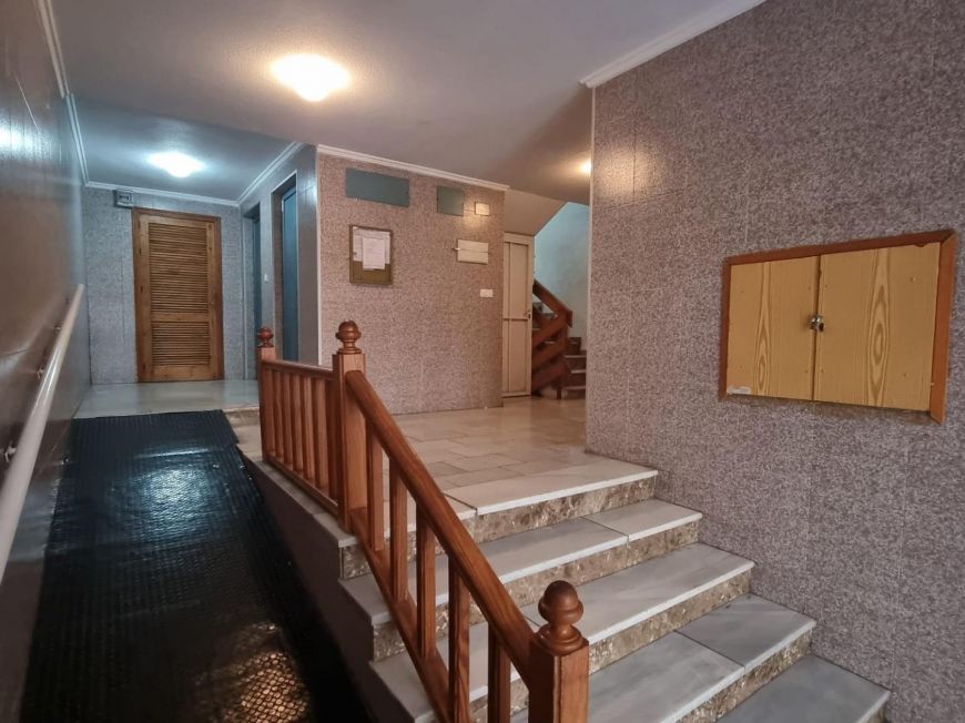 Испания studio torrevieja