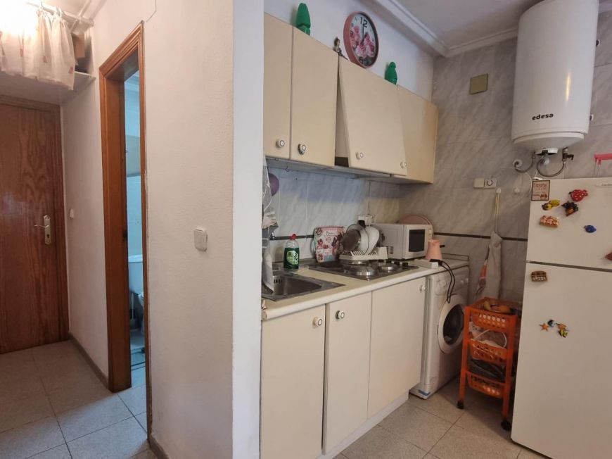 Испания studio torrevieja