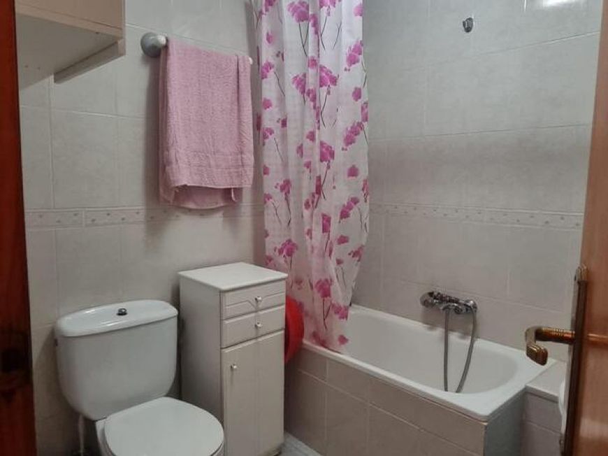 Испания studio torrevieja