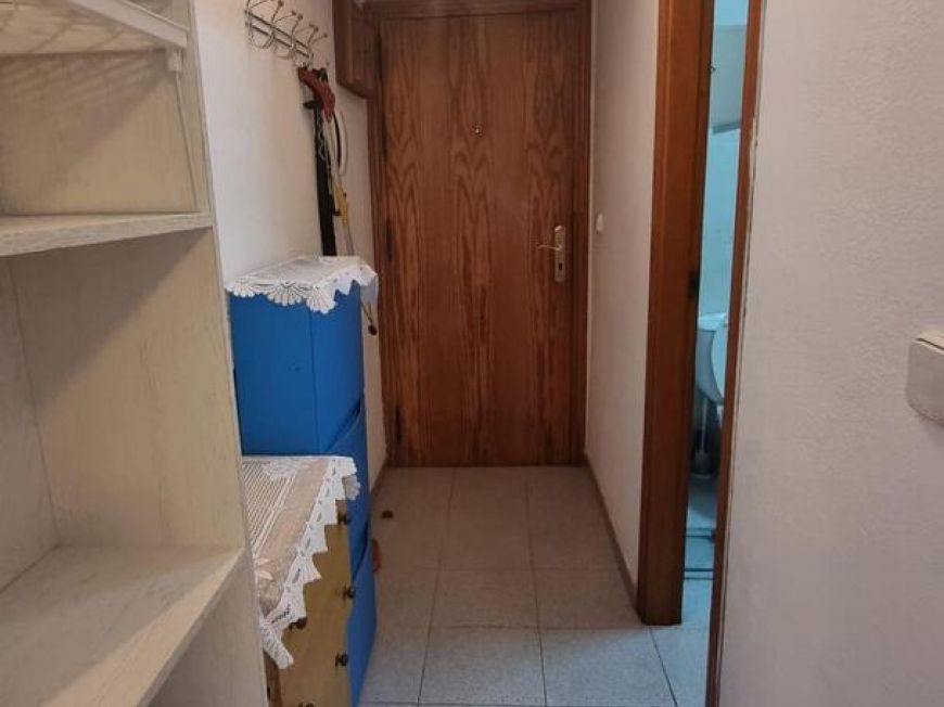 Испания studio torrevieja