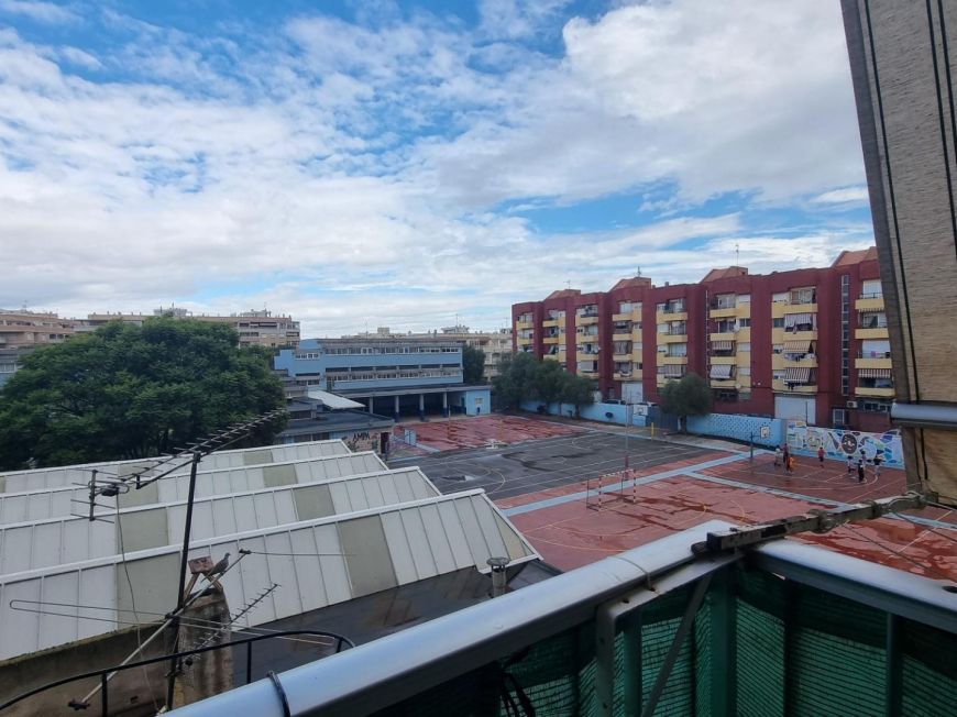 Испания studio torrevieja