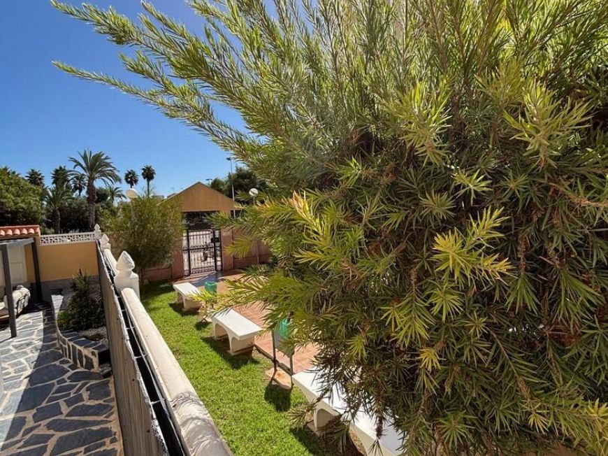 Španělsko Apartmány / byty Torrevieja