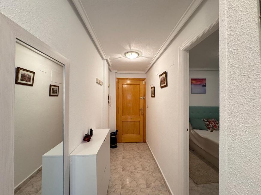 Испания apartments torrevieja