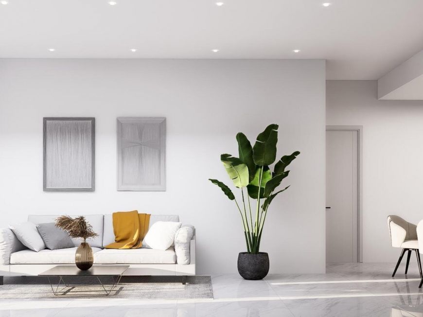 Испания apartments torrevieja