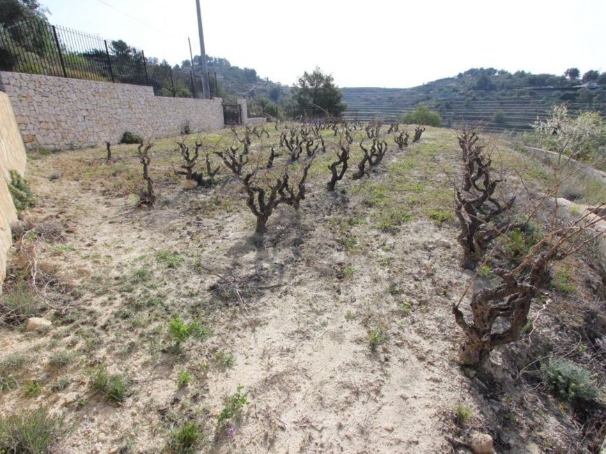 Farma Benissa Alicante