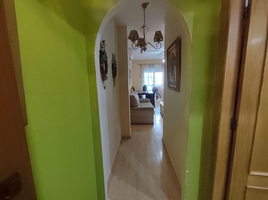 Španělsko Apartmány / byty Torrevieja