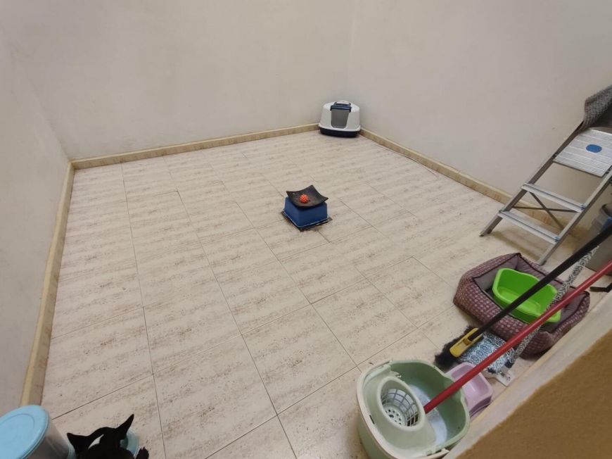 Španělsko Apartmány / byty Torrevieja