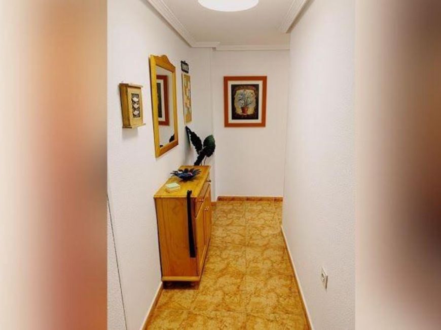 Španělsko Apartmány / byty Torrevieja