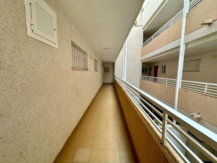 Španělsko Apartmány / byty Torrevieja