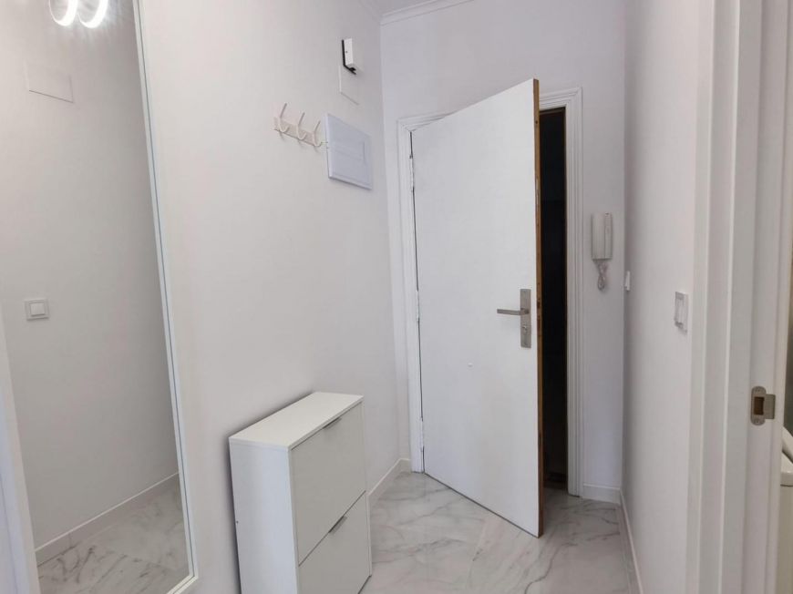 Испания studio torrevieja