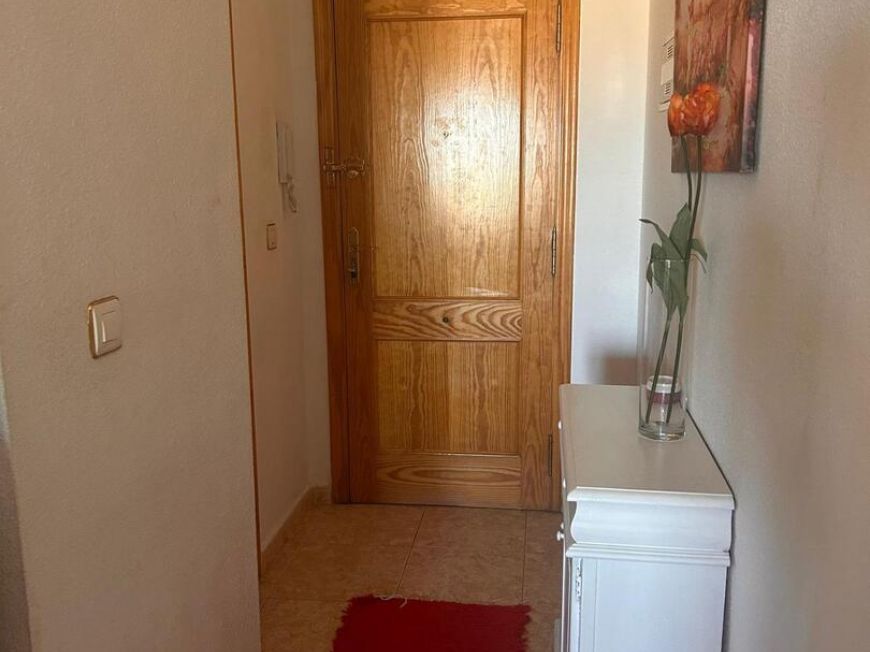 Španělsko Apartmány / byty Torrevieja