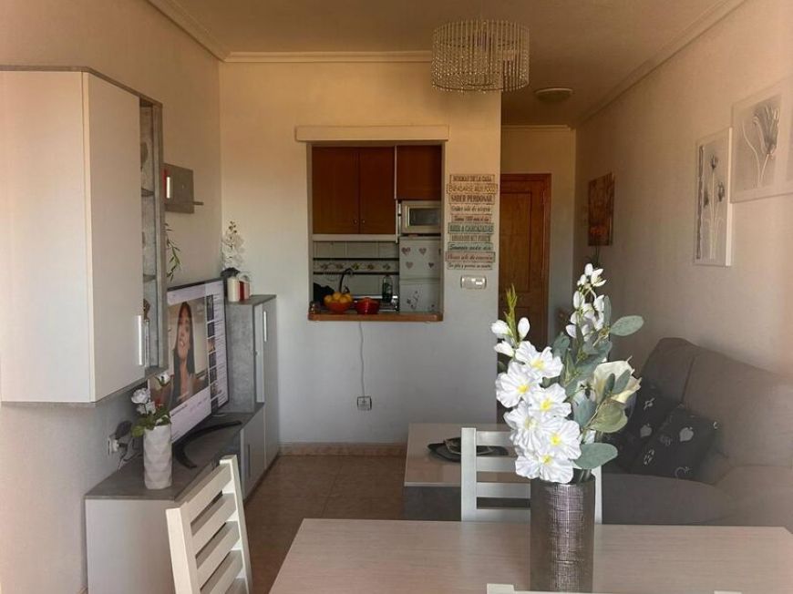 Španělsko Apartmány / byty Torrevieja