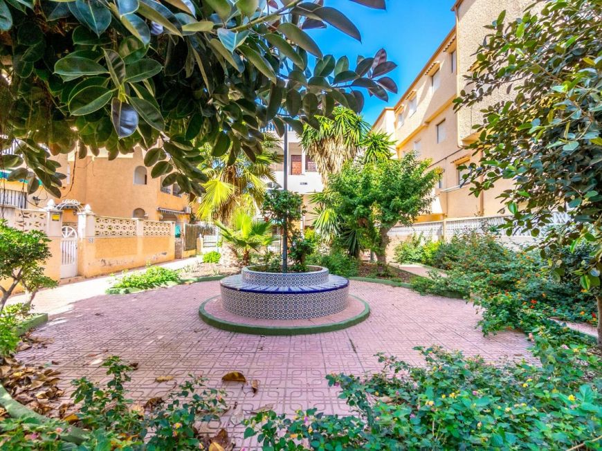 Španělsko Apartmán / byt Torrevieja ALICANTE