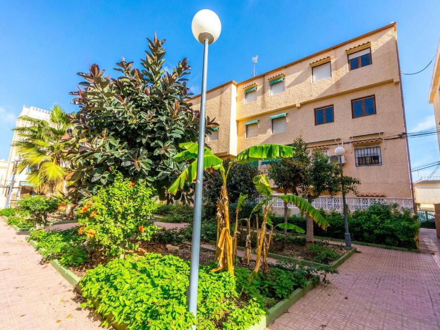 Španělsko Apartmán / byt Torrevieja ALICANTE