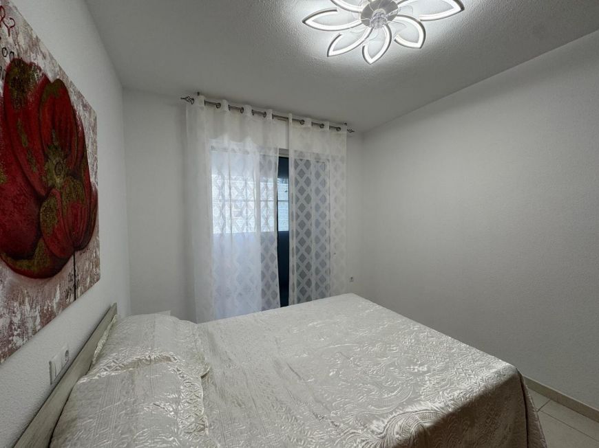 Španělsko Apartmány / byty Torrevieja
