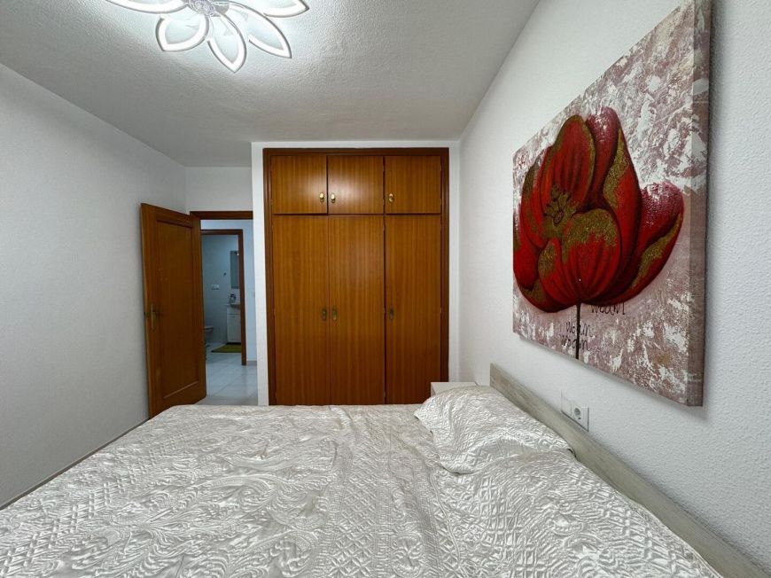 Španělsko Apartmány / byty Torrevieja