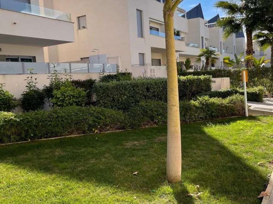 Španělsko Bungalov Torrevieja