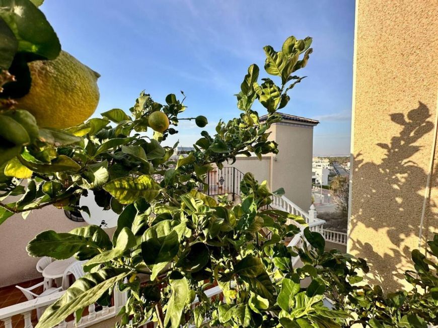 Španělsko Dům mezonetového typu Orihuela-costa