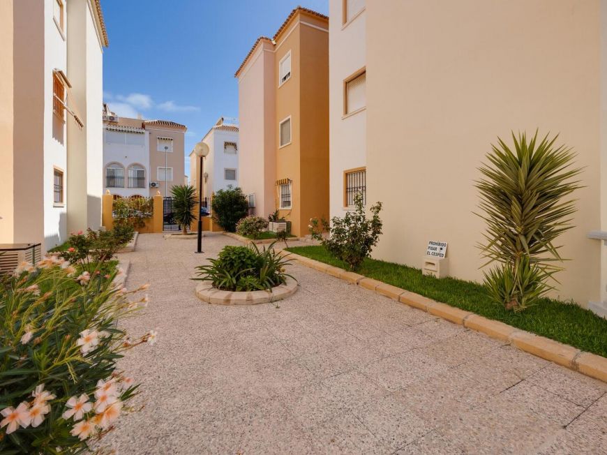 Španělsko Bungalov Torrevieja Alicante