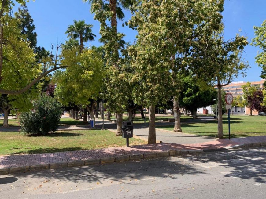 Spain Apartamento Torrevieja Alicante