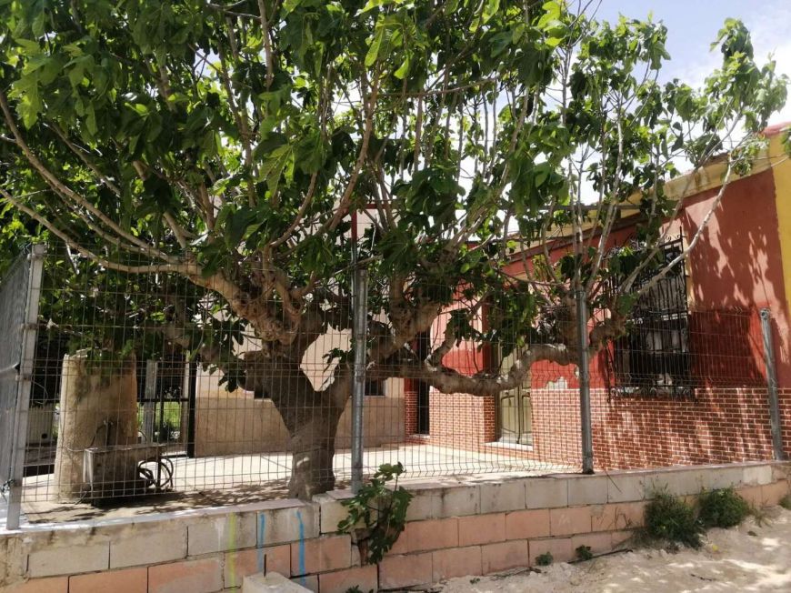 Spanien Villa Orihuela Alicante