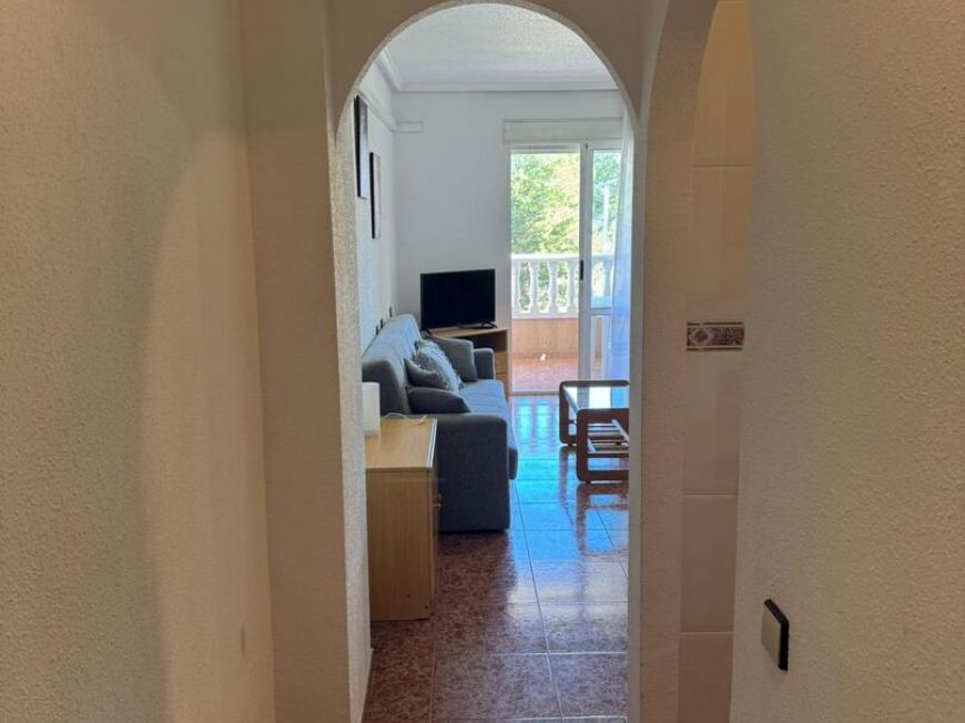 Испания apartments torrevieja