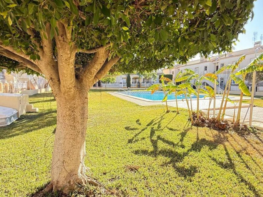 Španělsko Bungalov Torrevieja