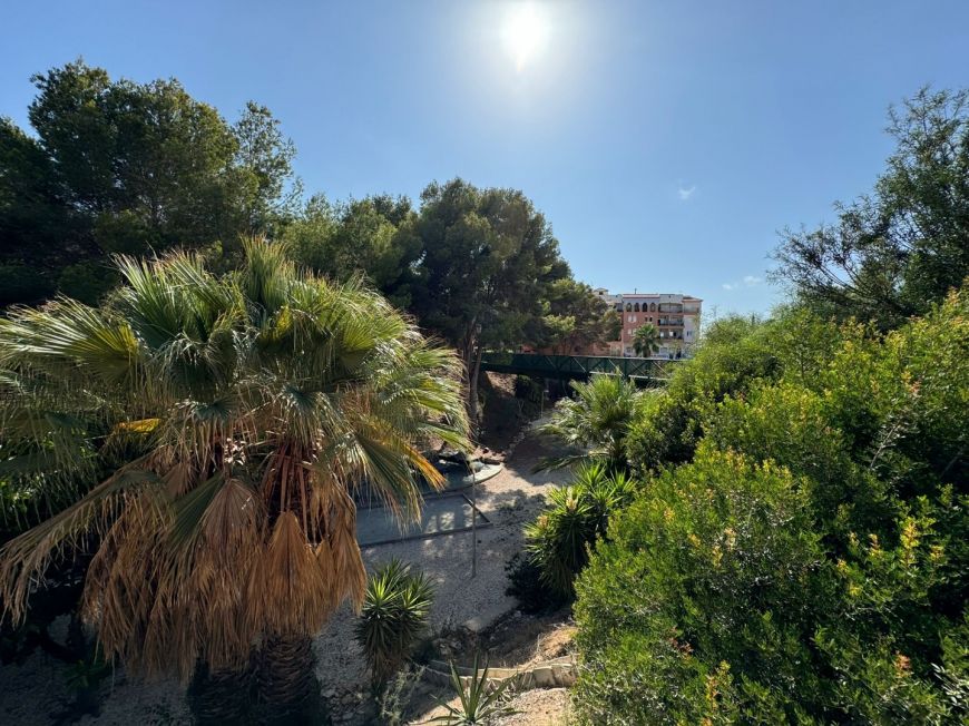 Španělsko Apartmány / byty Orihuela-costa