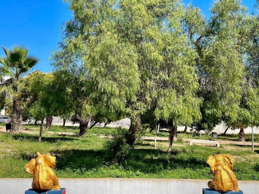 Španělsko Dům Torrevieja