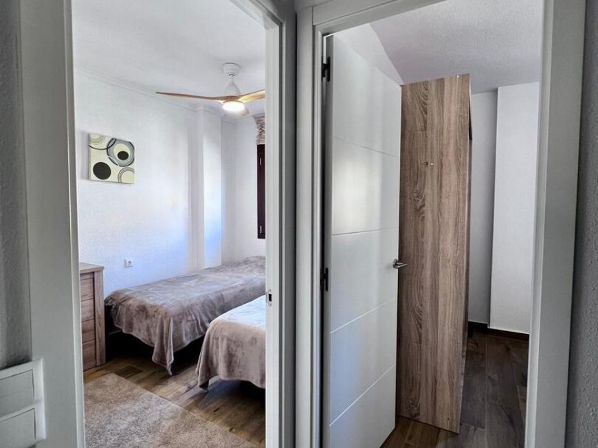 Španělsko Apartmány / byty Torrevieja