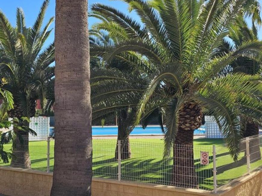 Španělsko Apartmány / byty Torrevieja